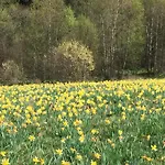 Neu - Brachfeld - Penthouse Und Ferienwohnung, Tor Zum Nationalpark Eifel Appartamento Hellenthal