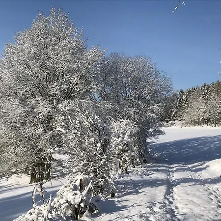 Neu - Brachfeld - Penthouse Und Ferienwohnung, Tor Zum Nationalpark Eifel Lejlighed