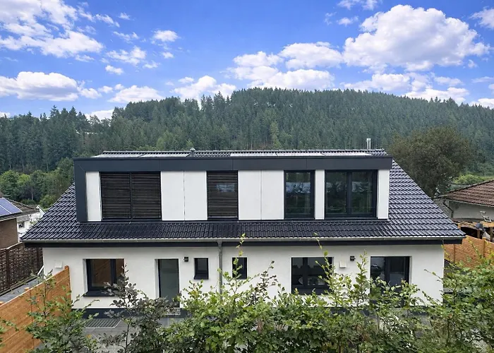 Appartement Neu - Brachfeld - Penthouse Und Ferienwohnung, Tor Zum Nationalpark Eifel