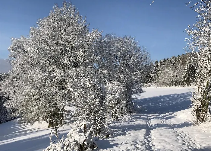 Neu - Brachfeld - Penthouse Und Ferienwohnung, Tor Zum Nationalpark Eifel Appartement