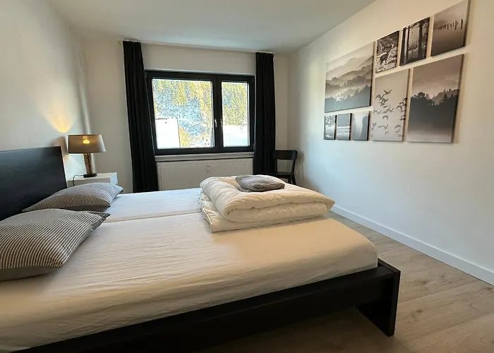 Neu - Brachfeld - Penthouse Und Ferienwohnung, Tor Zum Nationalpark Eifel